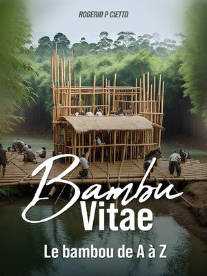 cover image of BAMBOU VITAE – Le Bambou de a à Z